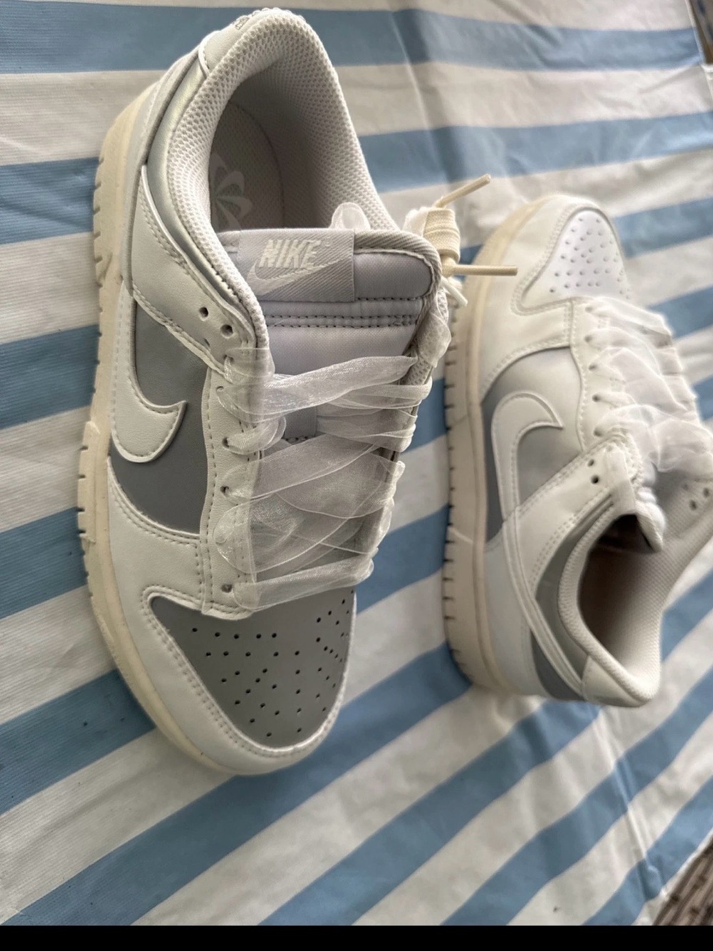 Nike Dunk Low Next Nature Metallic Platinum W 7 / M 5.5 IB7311-001 NIB